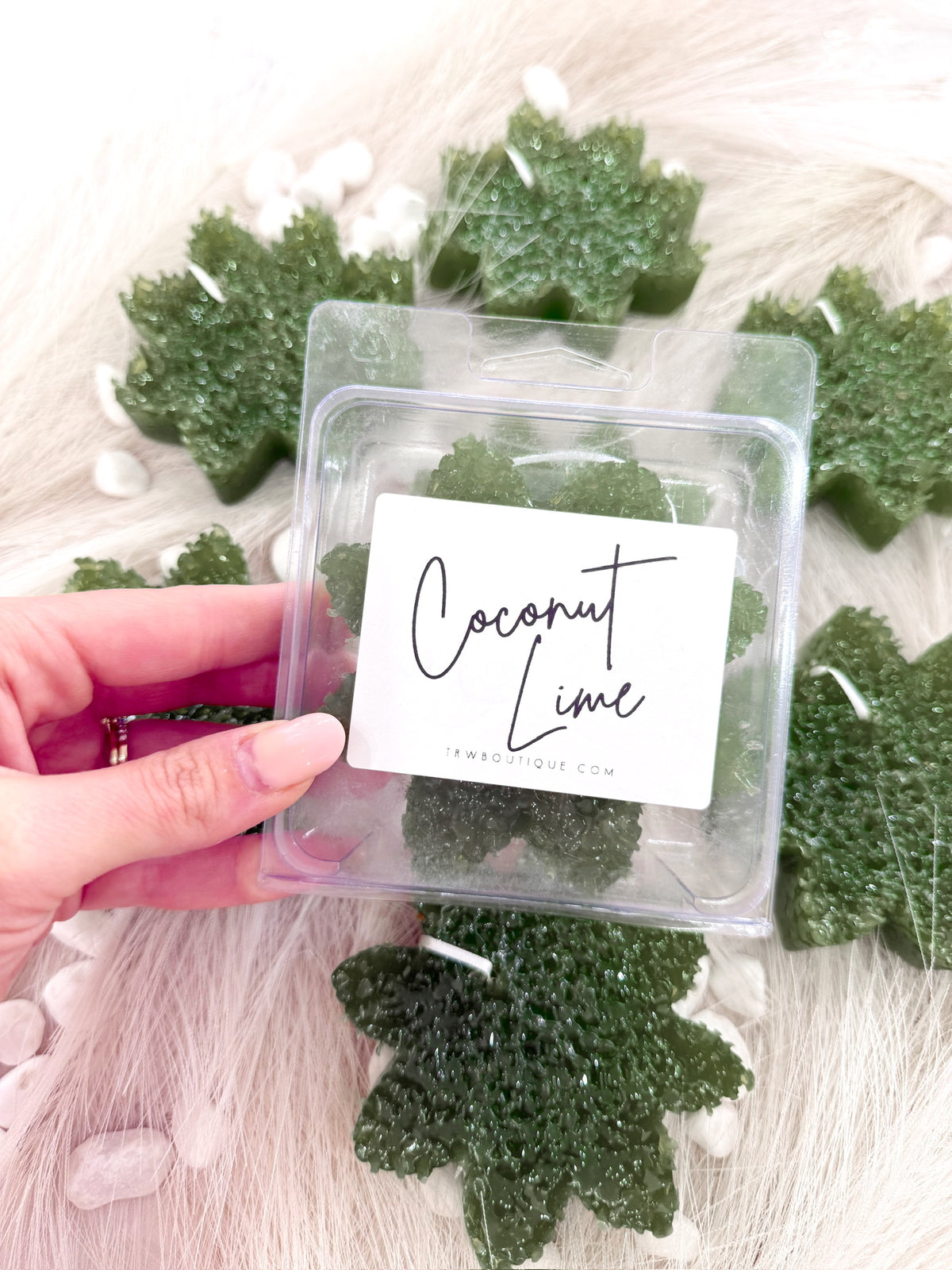 Coconut Lime Freshie
