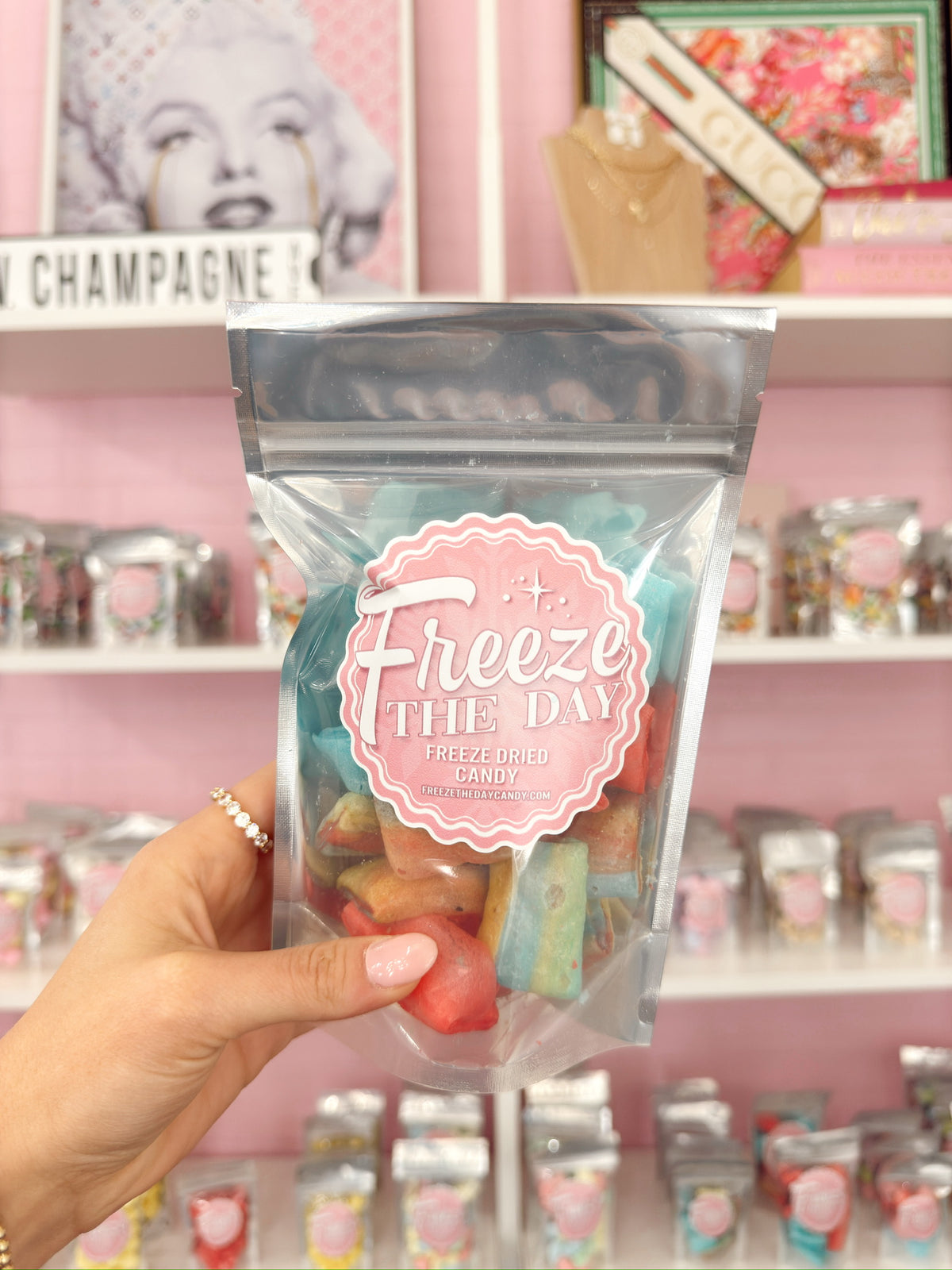 Freeze Dried Fruit Roll Ups - Small