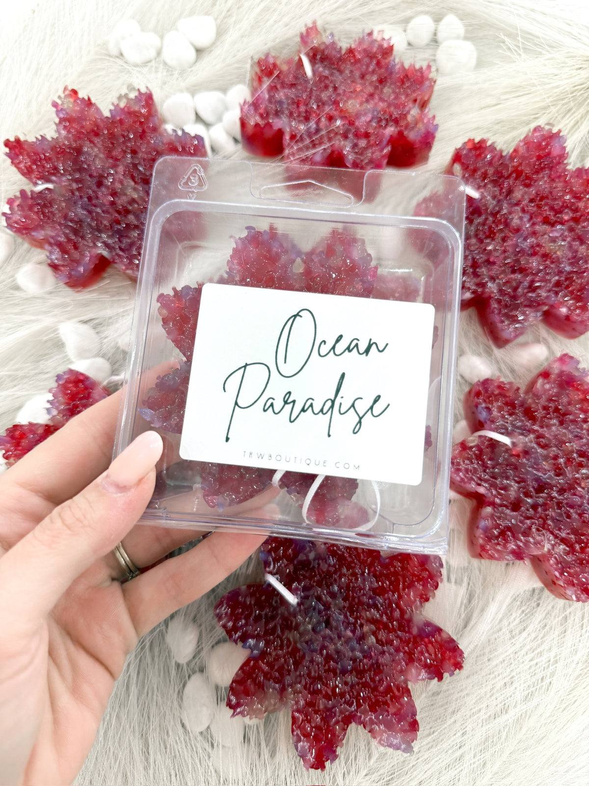 Ocean Paradise Freshie