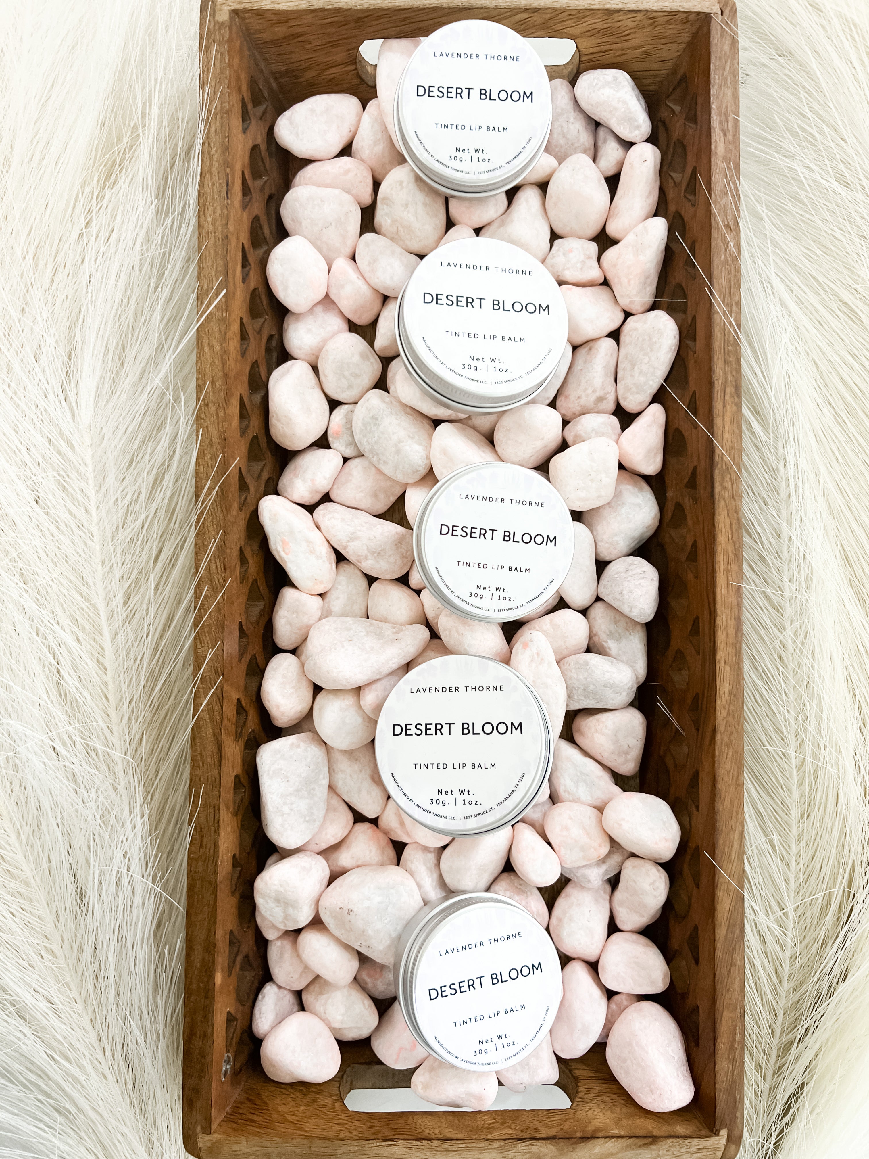 Desert Bloom Tinted Lip Balm