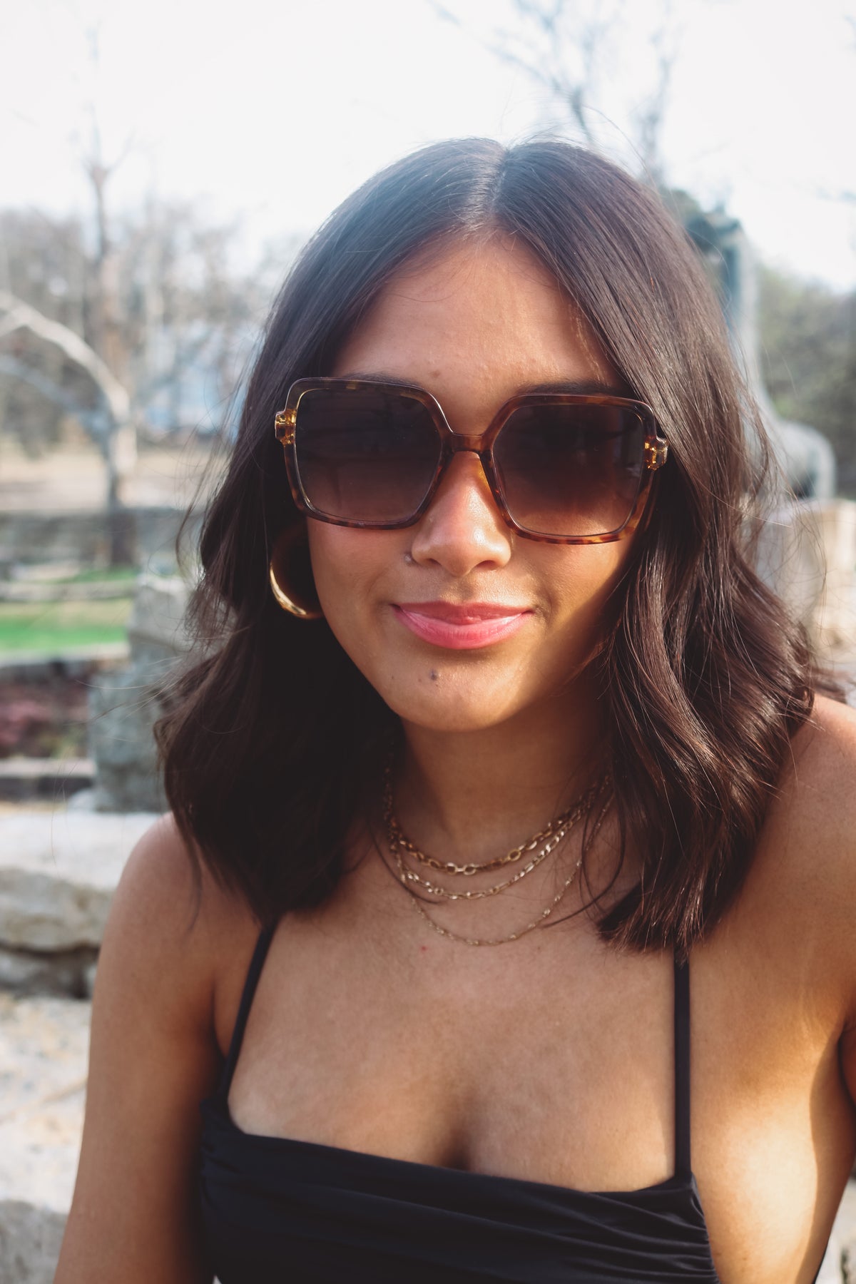 Marcie Sunglasses in Brown Tortoise Ombre