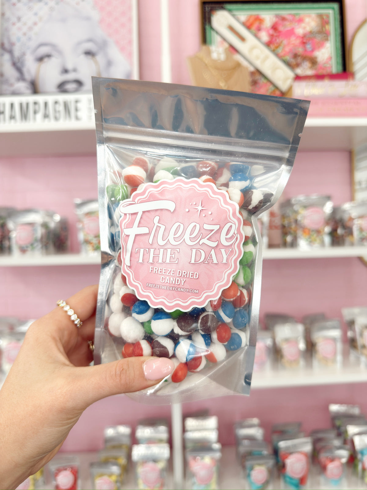Freeze Dried Wild Berry Skittles : Large